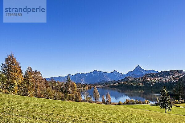 Der Weißensee bei Fu?ssen  rechts der Sa?ugling links dahinter der Tegelberg  Allga?u  Bayern  Deutschland  Europa