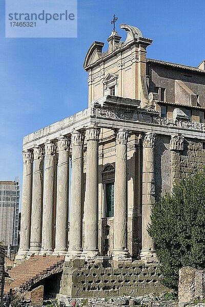 Historische Fassade von Tempel von Pius und Faustina mit Treppenaufgang und antike Säulen  heute auch Kirche San Lorenzo in Miranda  Forum Romanum  Rom  Latium  Italien  Europa