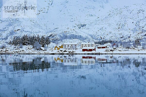 Isolierte Häuser im Trollfjord  Lofoten  Norwegen  Europa