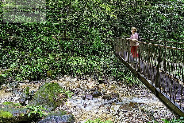 Brücke  Treppen und Stege  Rastenbachklamm bei Kaltern  Etschtal  Südtirol  Italien  Europa