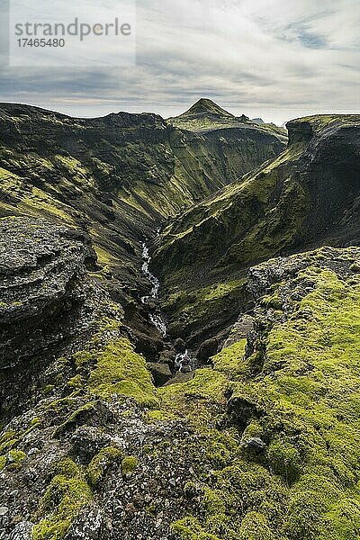 Wanderung von Þakgil zum Mýrdalsjökull  moosbewachsene Berge  Tufffelsen  Island  Europa