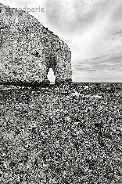 Kreidefelsen  Klippe mit Naturbogen bei Ebbe  Kingsgate Bay  Broadstairs  Isle of Thanet  Kent  England  Großbritannien  Europa