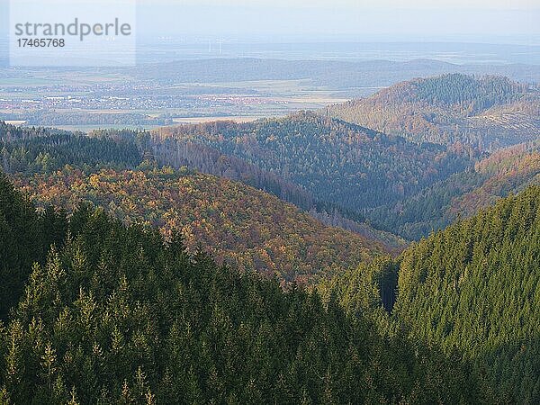 Blick vom Bocksberg über den Harz  View from the the over the  Lower Saxony  Hahnenklee  Goslar  Niedersachsen  Deutschland  Europa