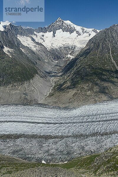 Unesco-Stätte Großer Alteschgletscher  Berner Alpen  Schweiz  Europa