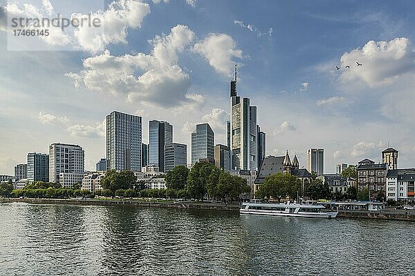 Skyline von Frankfurt mit Ausflugsdampfer auf dem Main  Hessen  Deutschland  Europa