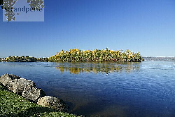 Herbstfarben auf Hamilton Island  Ottawa River  Hawksbury  Provinz Ontario  Kanada  Nordamerika