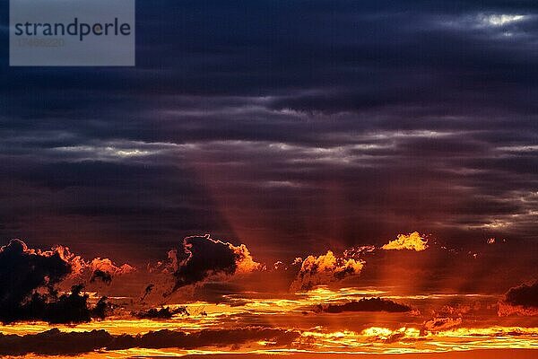 Sonnenstrahlen hinter Wolken  dramatischer Abendhimmel  Sonnenuntergang  Gotland  Schweden  Europa