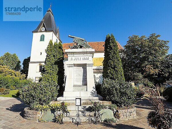 Denkmal für Gefallene der Schlacht bei Königgrätz  hinten Pfarrkirche von Gamlitz  Gamlitz  Steiermark  Österreich  Europa