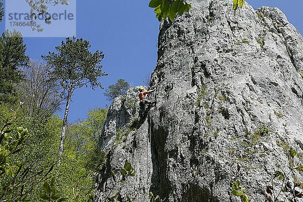 Klettern  Mann in der Felswand  Felsenlabyrinth  Blaubeuren  Baden-Württemberg  Deutschland  Europa