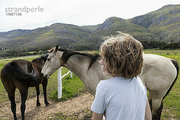 Achtjähriger Junge lehnt an einem Zaun und betrachtet zwei Pferde auf einem Feld