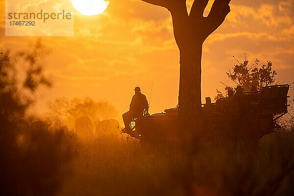 Ein Fahrzeug geht auf eine Pirschfahrt bei Sonnenuntergang  Silhouette