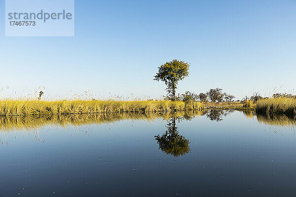 Die flache Landschaft und die ruhigen Gewässer des Okavango-Deltas