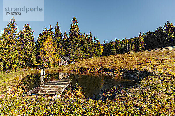 Kleiner Teich im Lachtal im Herbst