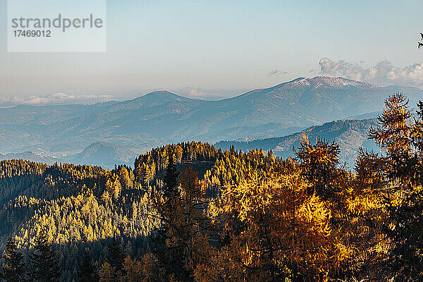 Bewaldete Berge im Lachtal am nebligen Herbstmorgen