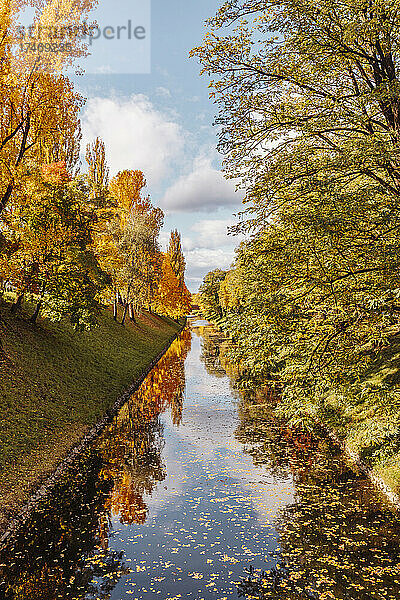 Herbstlich gefärbte Bäume entlang des Lendkanals