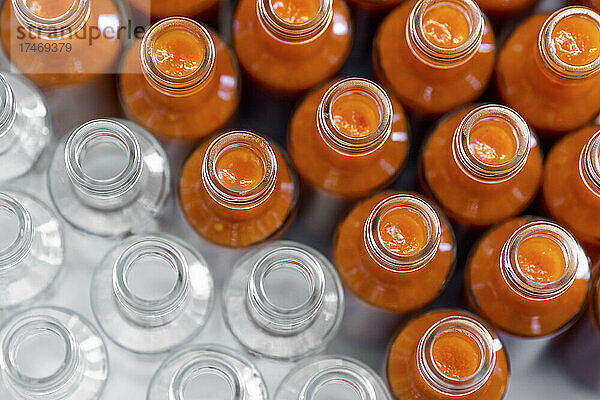 Chili-Sauce-Flaschen nebeneinander in der Produktionsfabrik angeordnet