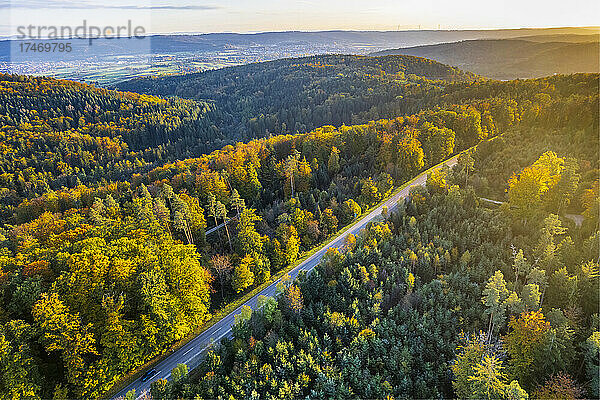 Straße inmitten herbstlicher Bäume im Schwäbisch-Fränkischen Wald  Deutschland
