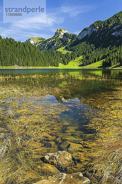 Ufer des Samtisersees im Alpsteinmassiv im Sommer