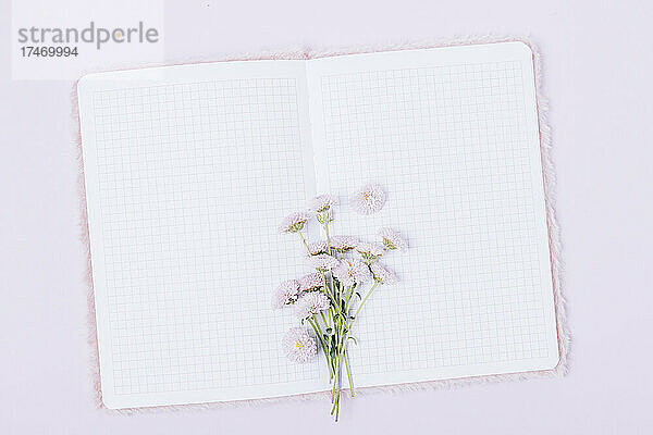 Frische Lavendelblüten auf offenem Notizbuch