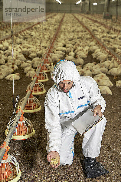 Mann untersucht Hühnerfutter in Fabrik