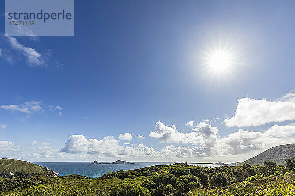 Im Sommer scheint die Sonne über der Küstenlandschaft von Norman Island