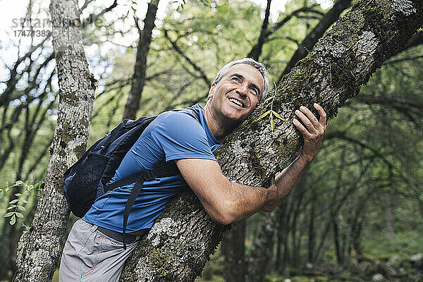 Reifer Mann lächelt  während er Baumstamm im Wald umarmt