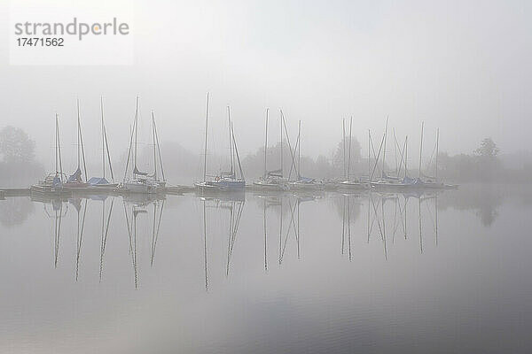 Nebel hüllt Segelboote ein  die im Yachthafen Altmühlsee vertäut sind