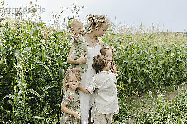 Geschwister umarmen Mutter und stehen mit Kleinkind im Maisfeld