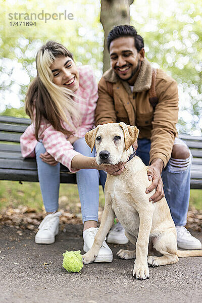 Fröhliches junges Paar streichelt Hund im öffentlichen Park