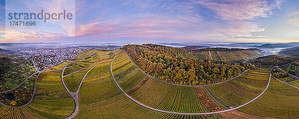 Deutschland  Baden-Württemberg  Korb  Drohnenpanorama der herbstlichen Weinberge im Remstal