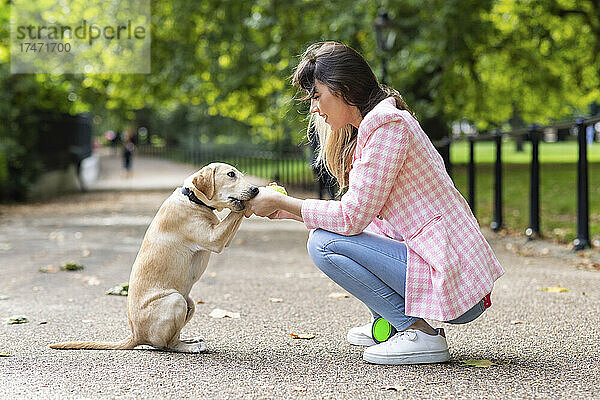 Verspielter Hund beißt Frau im Park in die Hand