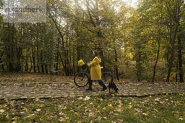 Frau fährt Fahrrad mit Hund im Herbstpark