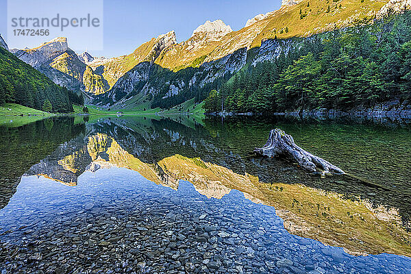 Berge spiegeln sich im Morgengrauen im klaren Wasser des Seealpsees