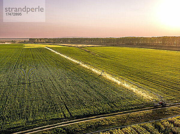 Luftaufnahme von landwirtschaftlichen Sprinklern  die bei Sonnenaufgang riesige Sojabohnenfelder bewässern