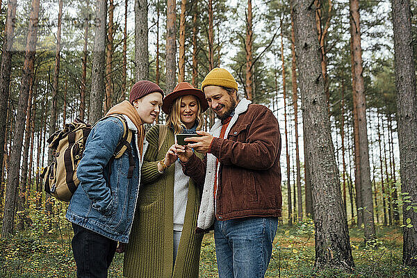 Familie teilt Smartphone  während sie im Wald steht
