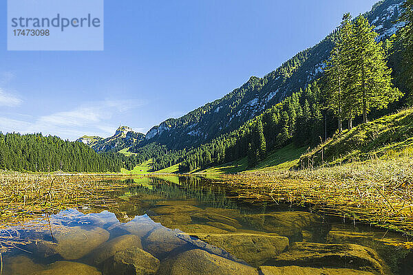 Ufer des Samtisersees im Alpsteinmassiv im Sommer