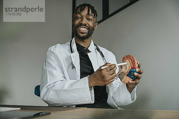 Lächelnder Arzt mit digitalisiertem Stift  der auf ein anatomisches Gehirnmodell im Büro zeigt