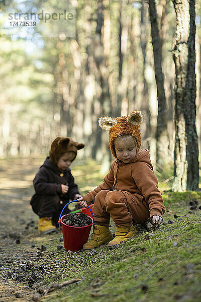Zwillingsschwestern sammeln Tannenzapfen im Wald