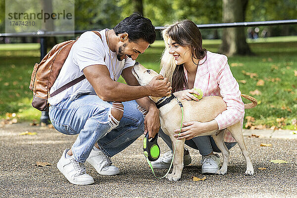 Lächelnder Mann und Freundin streicheln Hund  während sie im öffentlichen Park hocken