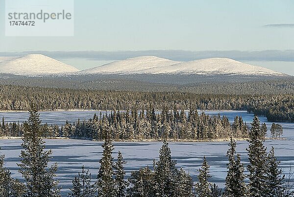 Blick auf die Berge des Pallastunturi  Pallas Yllästtunturi Nationalpark  Muonio  Lappland  Finnland  Europa