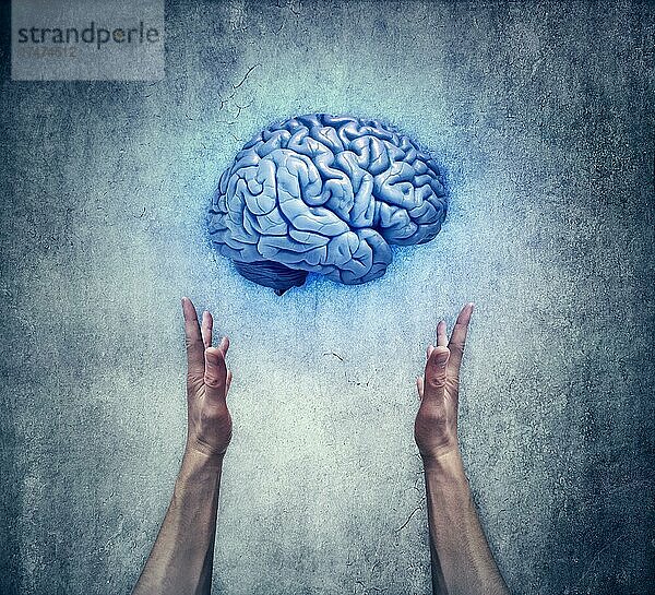 Schutz des geistigen Eigentums. Nahaufnahme von zwei menschlichen Händen  die ein blaues Gehirn halten. Speichern Sie Intelligenz und geistige Gesundheit Konzept