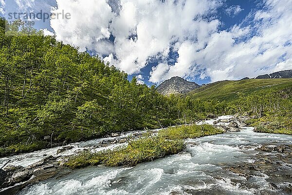 Gletscherfluss Gievdanjohka im Gletschertal Steindalen  Wanderung zum Gletscher Steindalsbreen  Lyngenfjord  Lyngenalpen  Troms og Finnmark  Norwegen  Europa