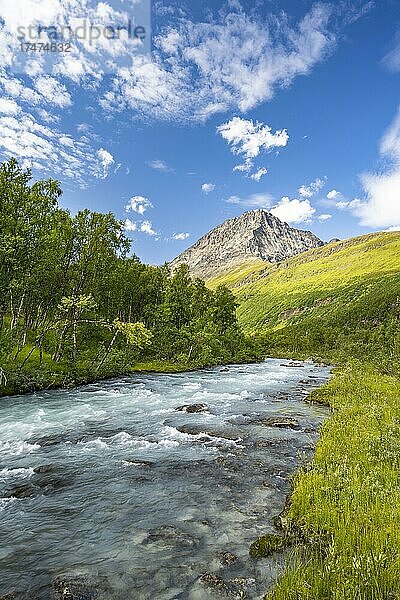 Gletscherfluss Gievdanjohka im Gletschertal Steindalen  Wanderung zum Gletscher Steindalsbreen  Lyngenfjord  Lyngenalpen  Troms og Finnmark  Norwegen  Europa