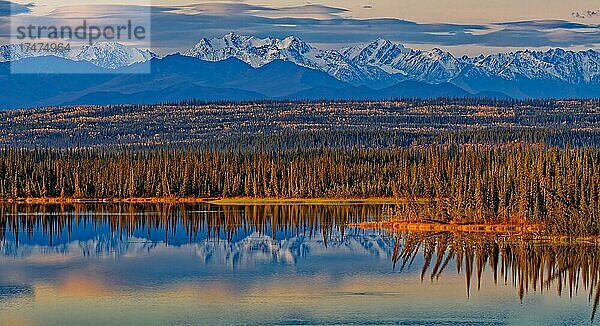 Spiegelung der Wrangell Mtns. in den Tetlin Lowlands  herbstliche Verfärbung  Alaska  USA  Nordamerika