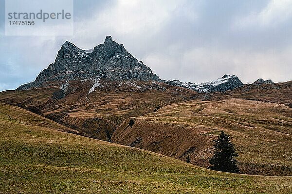 Widderstein im Herbst  Bregenzerwald  Vorarlberg  Österreich  Europa