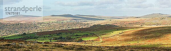 Herbstfarben über dem Dartmoor Park  Devon  England  Großbritannien  Europa