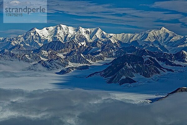 Kluane Icefield Ranges  Mt. Lucania Bildmitte (5226 m)  rechts Mt. Steele (5073 m)  Yukon Territory  Kanada  Nordamerika