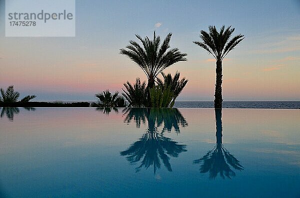 Invinity Pool am Meer  Palmen spiegeln sich im Pool  Wasserspiegelung  Abendlicht am Pool  Abendstimmung