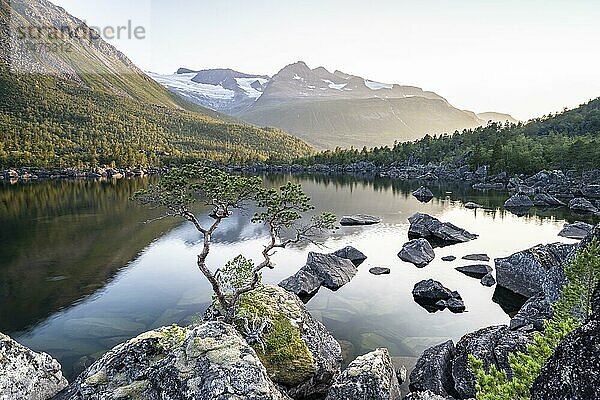 See Innerdalsvatna bei Abendstimmung  Innerdalen Hochtal  Sunndal  Møre og Romsdal  Vestland  Norwegen  Europa