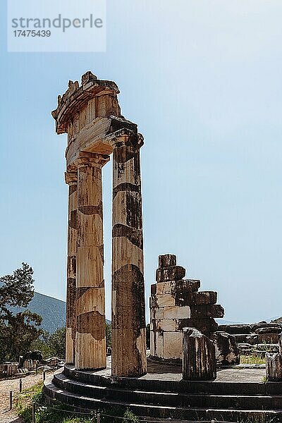 Athena-Pronaia-Tempel  antikes Delphi  Delphi  Griechenland  Europa